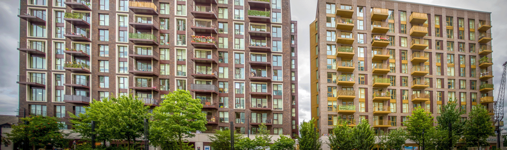 50 65 Harbord Square Walsh